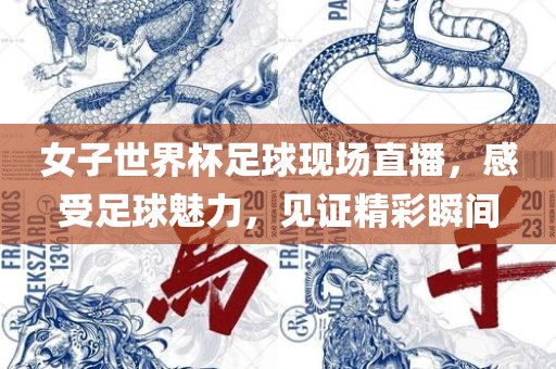 女子世界杯足球现场直播，感受足球魅力，见证精彩瞬间