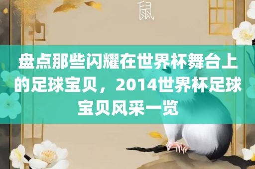 盘点那些闪耀在世界杯舞台上的足球宝贝，2014世界杯足球宝贝风采一览