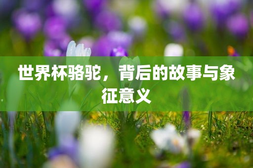 世界杯骆驼，背后的故事与象征意义眉山市正发家政服务有限公司