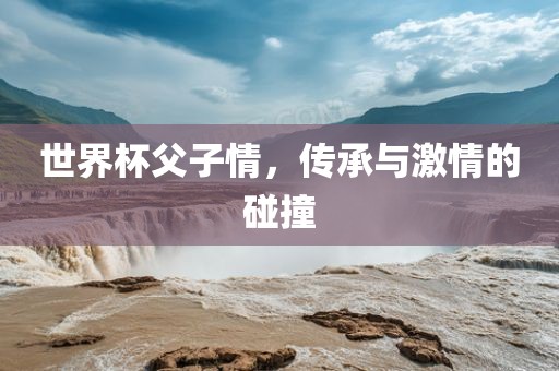 世界杯父子情，传承与激情的碰撞眉山市正发家政服务有限公司