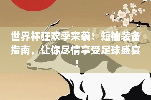 世界杯狂欢季来袭！短袖装备指南，让你尽情享受足球盛宴！眉山市正发家政服务有限公司