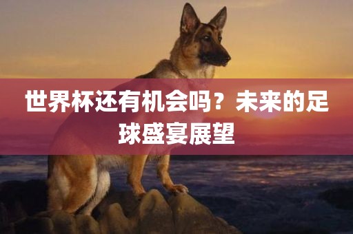 世界杯还有机会吗？未来的足球盛宴展望