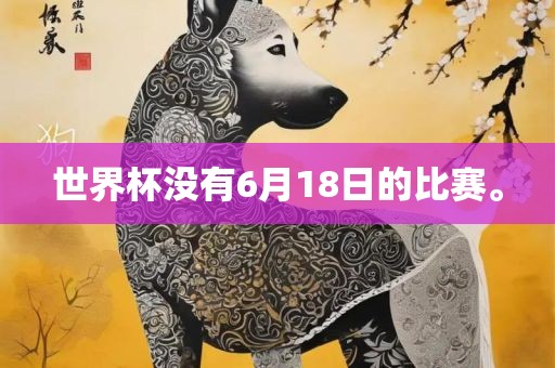 世界杯没有6月18日的比赛。