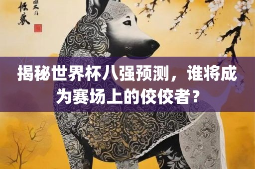赛场佼佼者
