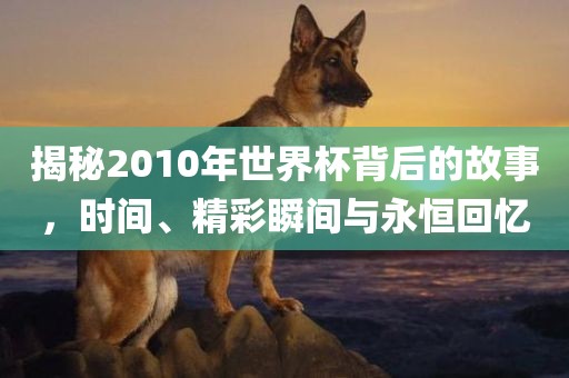 揭秘2010年世界杯背后的故事，时间、精彩瞬间与永恒回忆