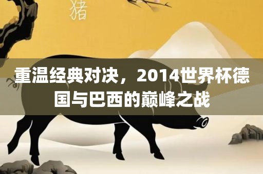 重温经典对决，2014世界杯德国与巴西的巅峰之战