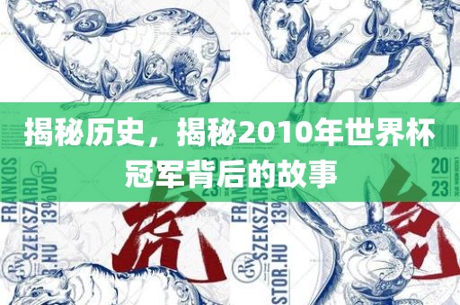 揭秘历史，揭秘2010年世界杯冠军背后的故事