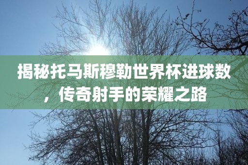 揭秘托马斯穆勒世界杯进球数，传奇射手的荣耀之路