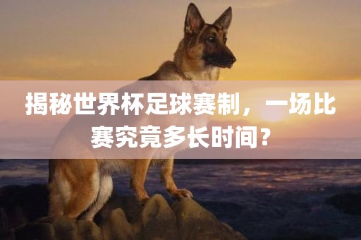 揭秘世界杯足球赛制，一场比赛究竟多长时间？眉山市正发家政服务有限公司