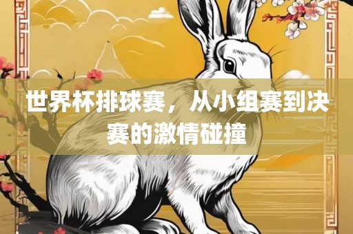 世界杯排球赛，从小组赛到决赛的激情碰撞