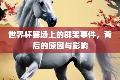 世界杯赛场上的群架事件，背后的原因与影响