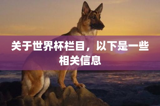 关于世界杯栏目，以下是一些相关信息