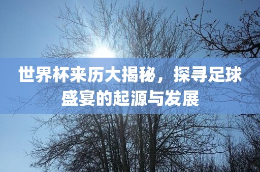 世界杯来历大揭秘，探寻足球盛宴的起源与发展眉山市正发家政服务有限公司