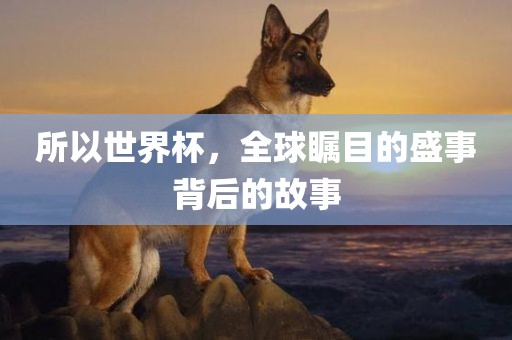 所以世界杯，全球瞩目的盛事背后的故事