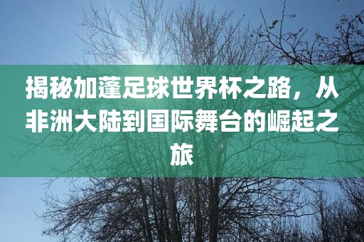 揭秘加蓬足球世界杯之路，从非洲大陆到国际舞台的崛起之旅