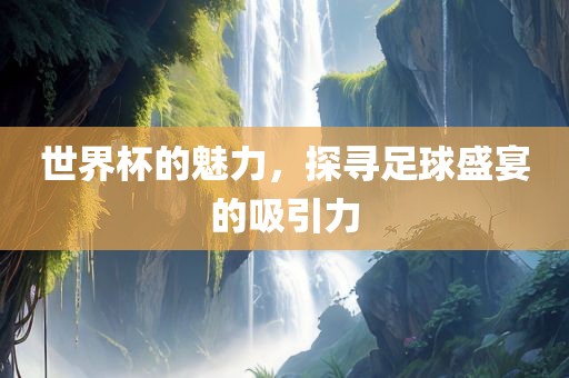 世界杯的魅力，探寻足球盛宴的吸引力眉山市正发家政服务有限公司