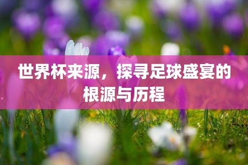 世界杯来源，探寻足球盛宴的根源与历程