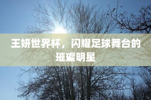 王妍世界杯，闪耀足球舞台的璀璨明星
