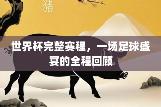 世界杯完整赛程，一场足球盛宴的全程回顾