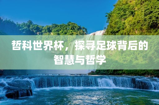 哲科世界杯，探寻足球背后的智慧与哲学