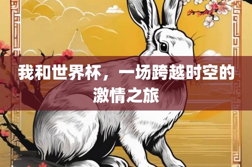 我和世界杯，一场跨越时空的激情之旅