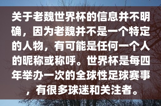 关于老魏世界杯的信息并不明确，因为老魏并不是一个特定的人物，有可能是任何一个人的昵称或称呼。世界杯是每四年举办一次的全球性足球赛事，有很多球迷和关注者。