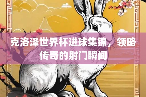 克洛泽世界杯进球集锦，领略传奇的射门瞬间