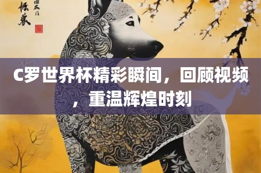 C罗世界杯精彩瞬间，回顾视频，重温辉煌时刻眉山市正发家政服务有限公司