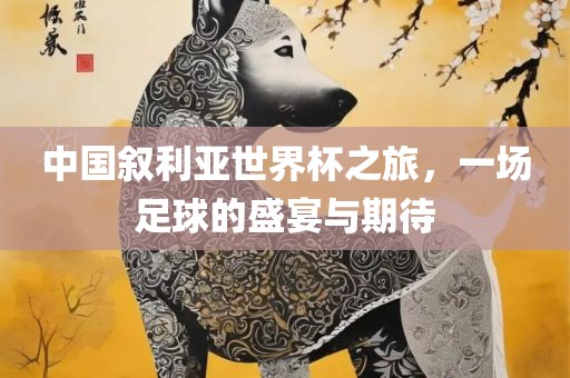 中国叙利亚世界杯之旅，一场足球的盛宴与期待