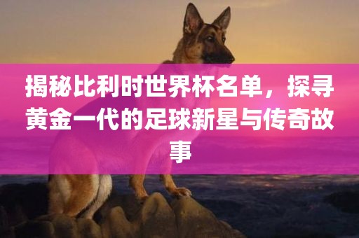 揭秘比利时世界杯名单，探寻黄金一代的足球新星与传奇故事