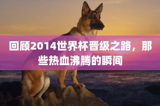 回顾2014世界杯晋级之路，那些热血沸腾的瞬间