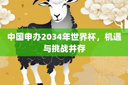 中国申办2034年世界杯，机遇与挑战并存