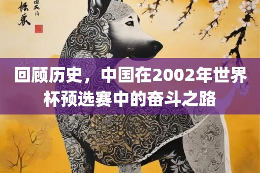 回顾历史，中国在2002年世界杯预选赛中的奋斗之路眉山市正发家政服务有限公司