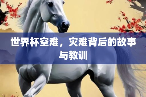 世界杯空难，灾难背后的故事与教训