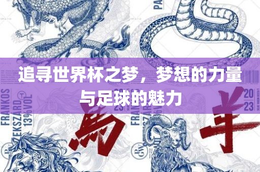 追寻世界杯之梦，梦想的力量与足球的魅力