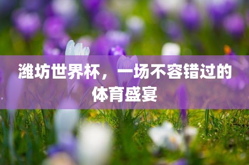 潍坊世界杯，一场不容错过的体育盛宴眉山市正发家政服务有限公司