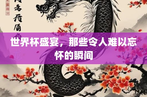 世界杯盛宴，那些令人难以忘怀的瞬间