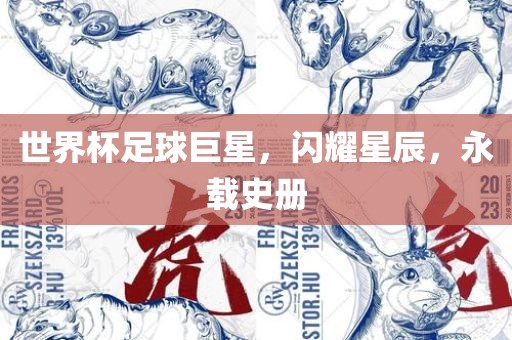 世界杯足球巨星，闪耀星辰，永载史册