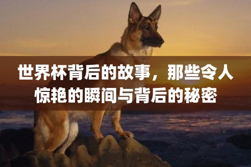 世界杯背后的故事，那些令人惊艳的瞬间与背后的秘密