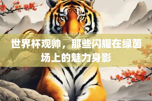 世界杯观帅，那些闪耀在绿茵场上的魅力身影