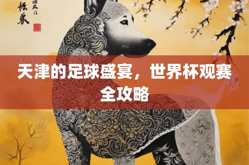 天津的足球盛宴，世界杯观赛全攻略