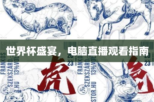 世界杯盛宴，电脑直播观看指南
