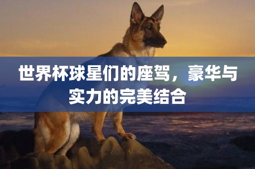 世界杯球星们的座驾，豪华与实力的完美结合