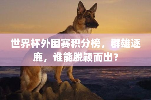 世界杯外围赛积分榜，群雄逐鹿，谁能脱颖而出？