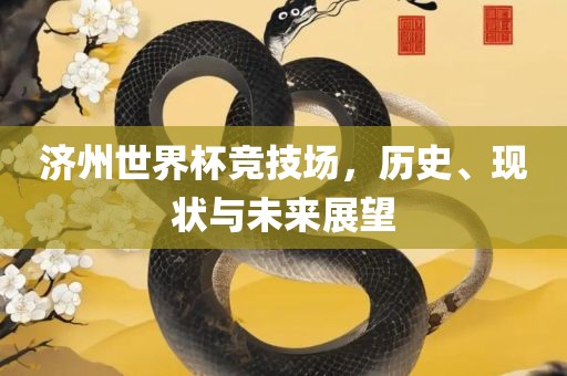济州世界杯竞技场，历史、现状与未来展望