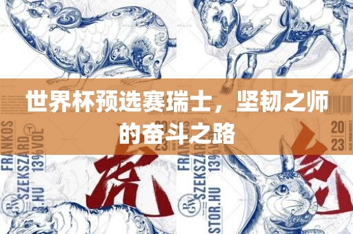 世界杯预选赛瑞士，坚韧之师的奋斗之路眉山市正发家政服务有限公司