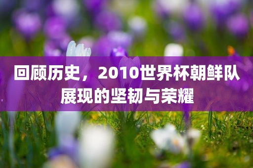 回顾历史，2010世界杯朝鲜队展现的坚韧与荣耀眉山市正发家政服务有限公司