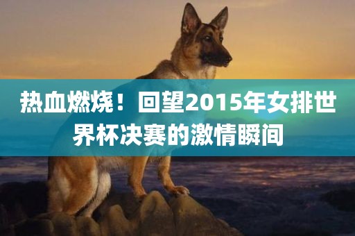 热血燃烧！回望2015年女排世界眉山市正发家政服务有限公司杯决赛的激情瞬间