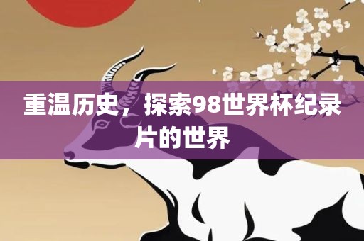 重温历史，探索98世界杯纪录片的世界眉山市正发家政服务有限公司