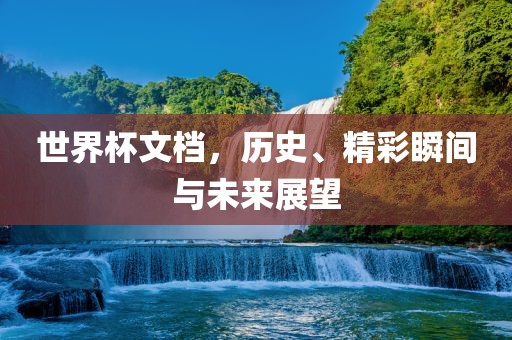 世界杯文档，历史、精彩瞬间与未来展望